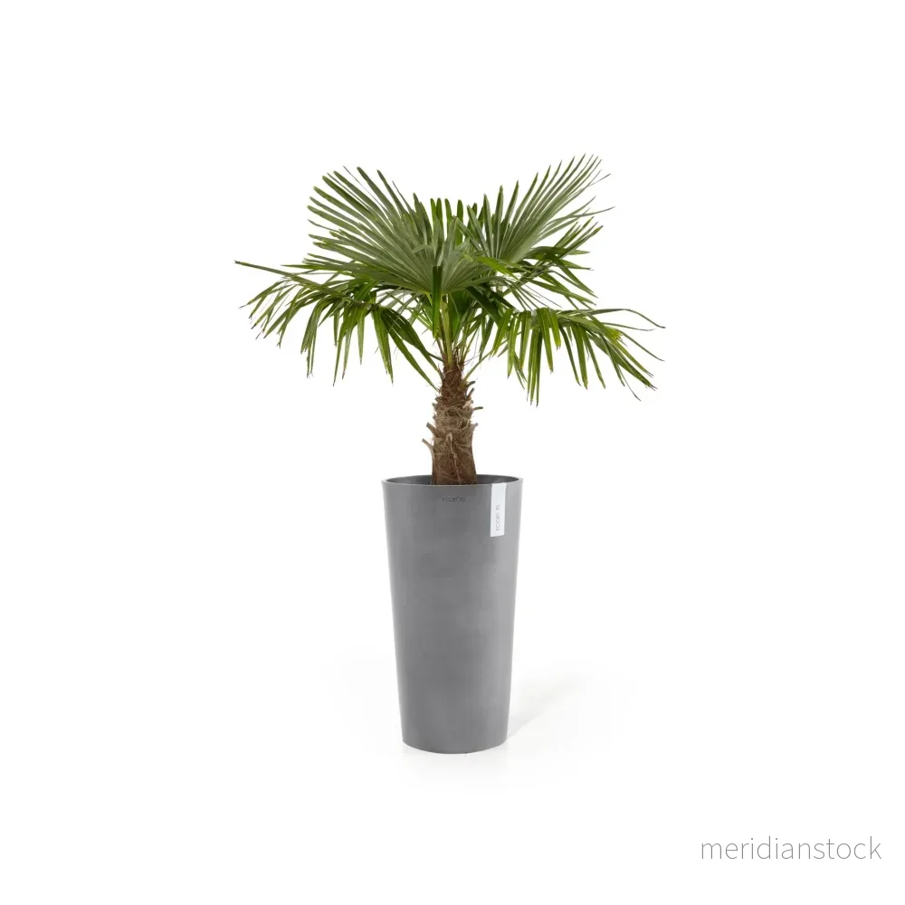 Kruka Amsterdam hög 90cm grå