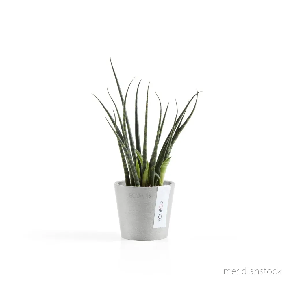 Kruka Amsterdam 8cm vitgrå