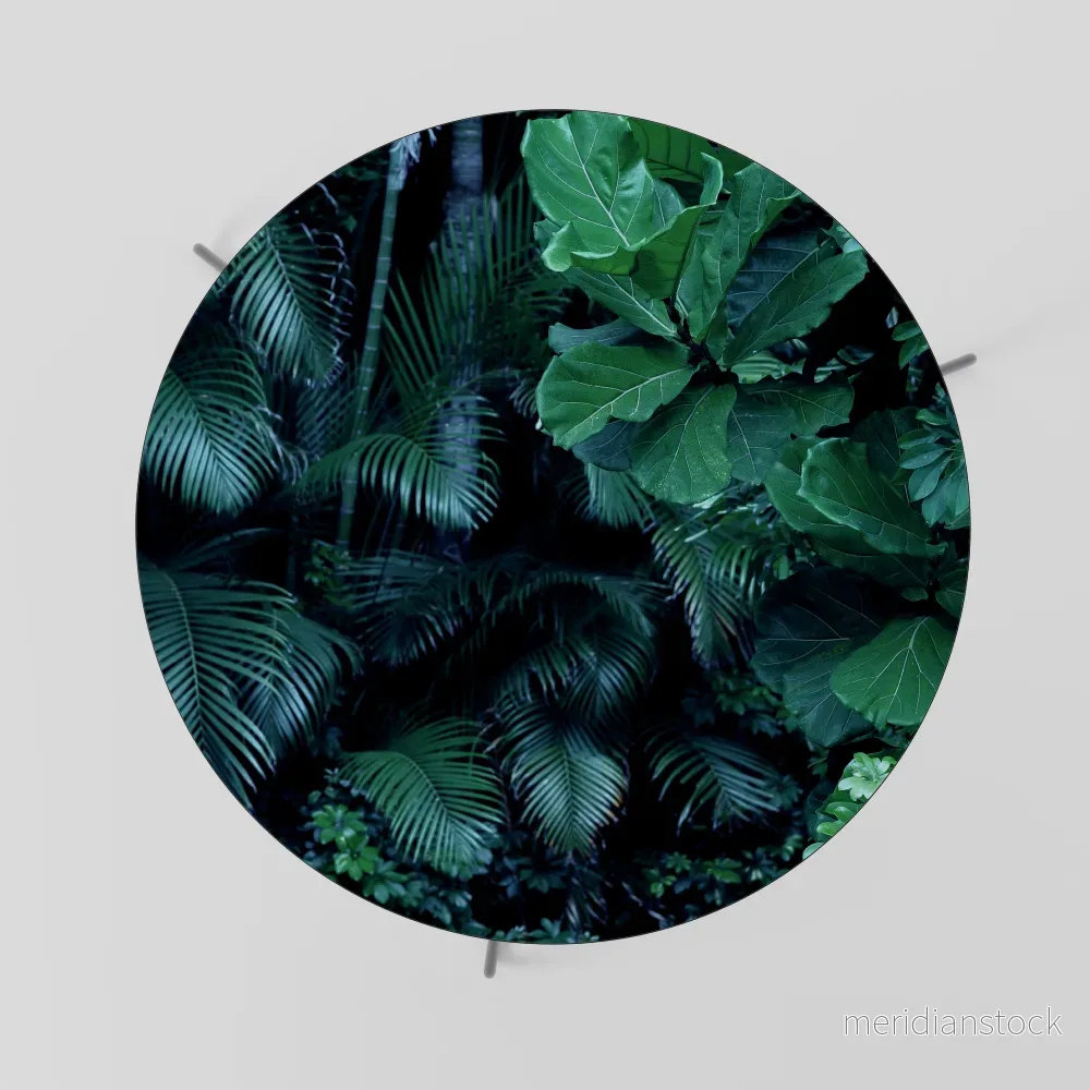DEEP JUNGLE SERENADE Soffbord - Bild 2