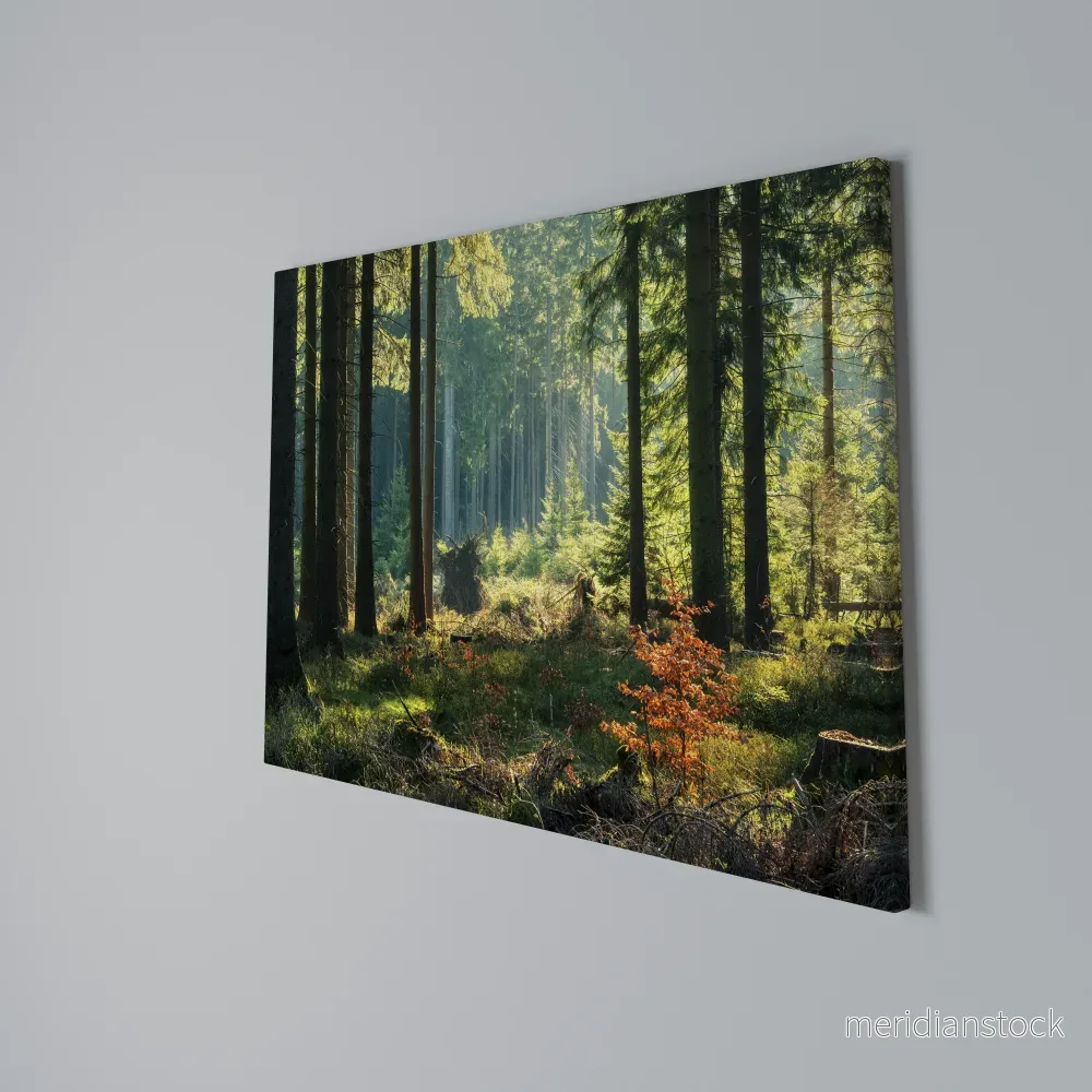 SUNLIT FOREST SERENADE Horizontal Canvas Print - Bild 3