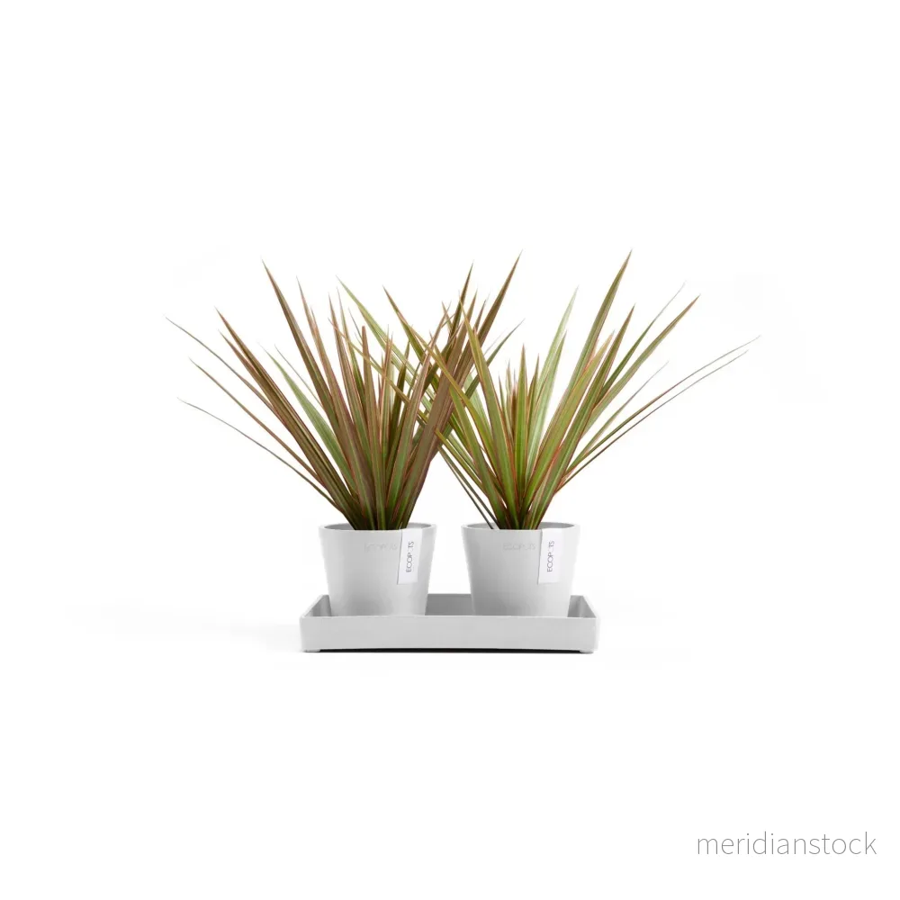 Kruka Amsterdam 10,5cm 2st & presentationsbricka 25cm vit