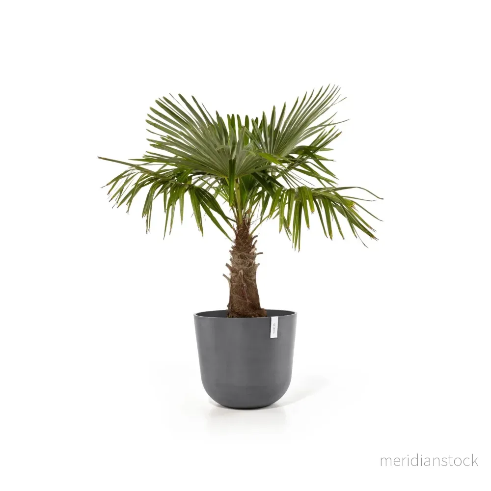 Kruka Oslo 75cm grå