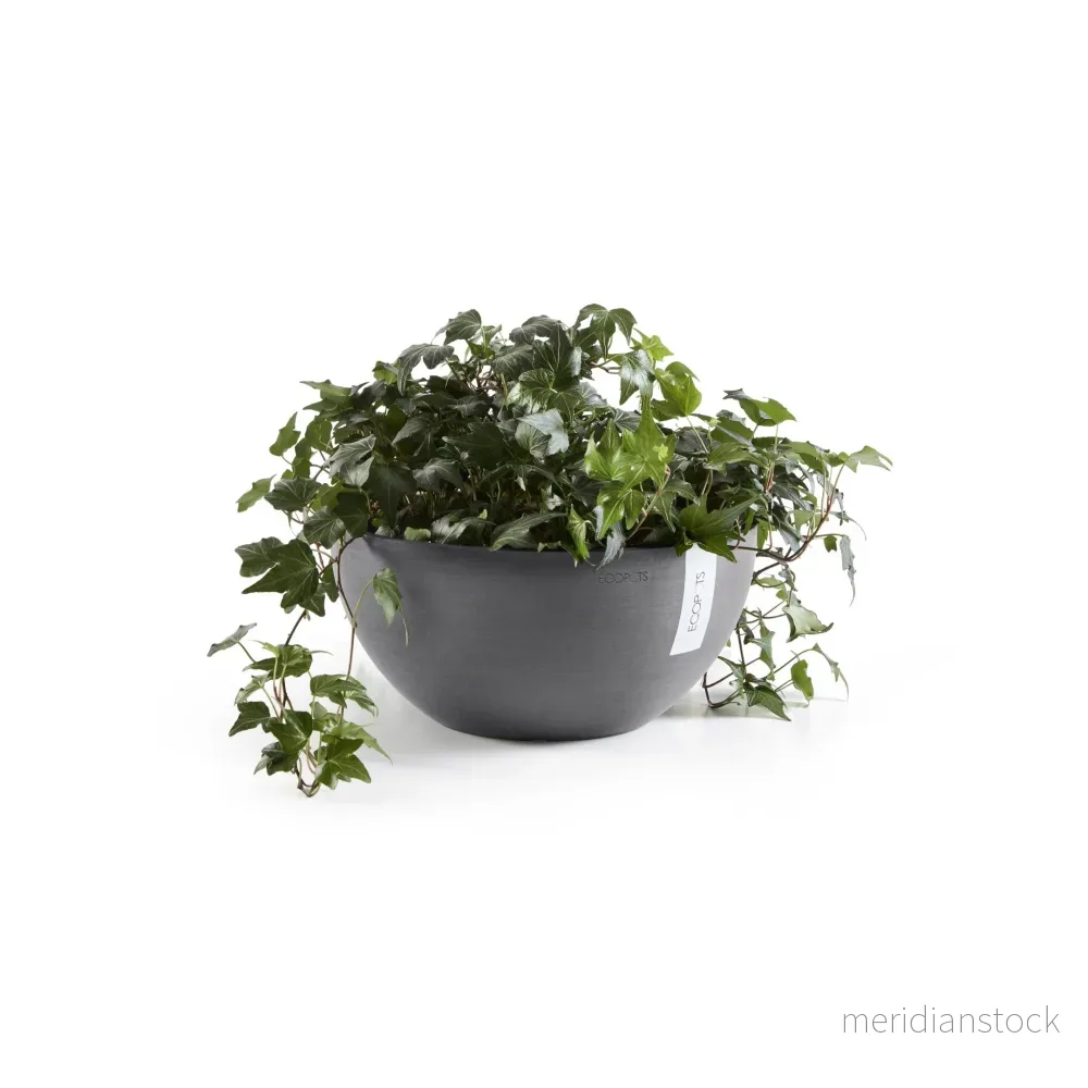 Kruka Bryssel 30cm grå - Bild 3