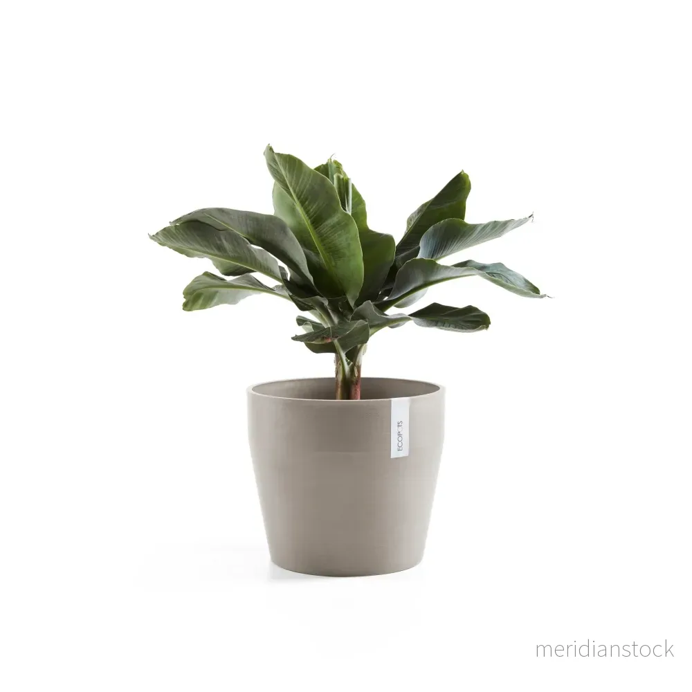Kruka Sankara 40cm taupe