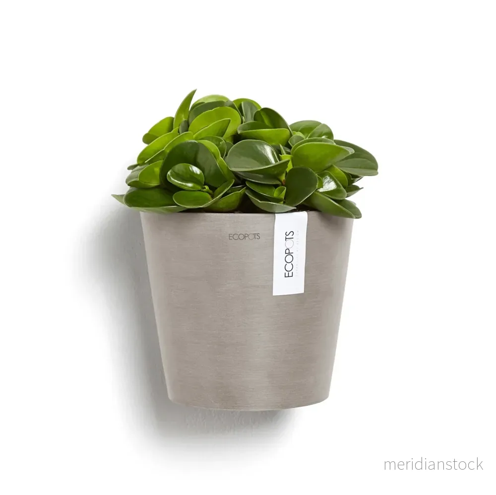 Kruka Amsterdam vägg 20cm taupe - Bild 3