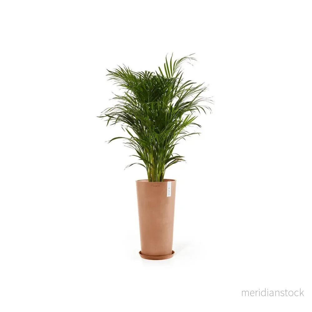 Kruka Amsterdam hög 70cm terrakotta - Bild 3