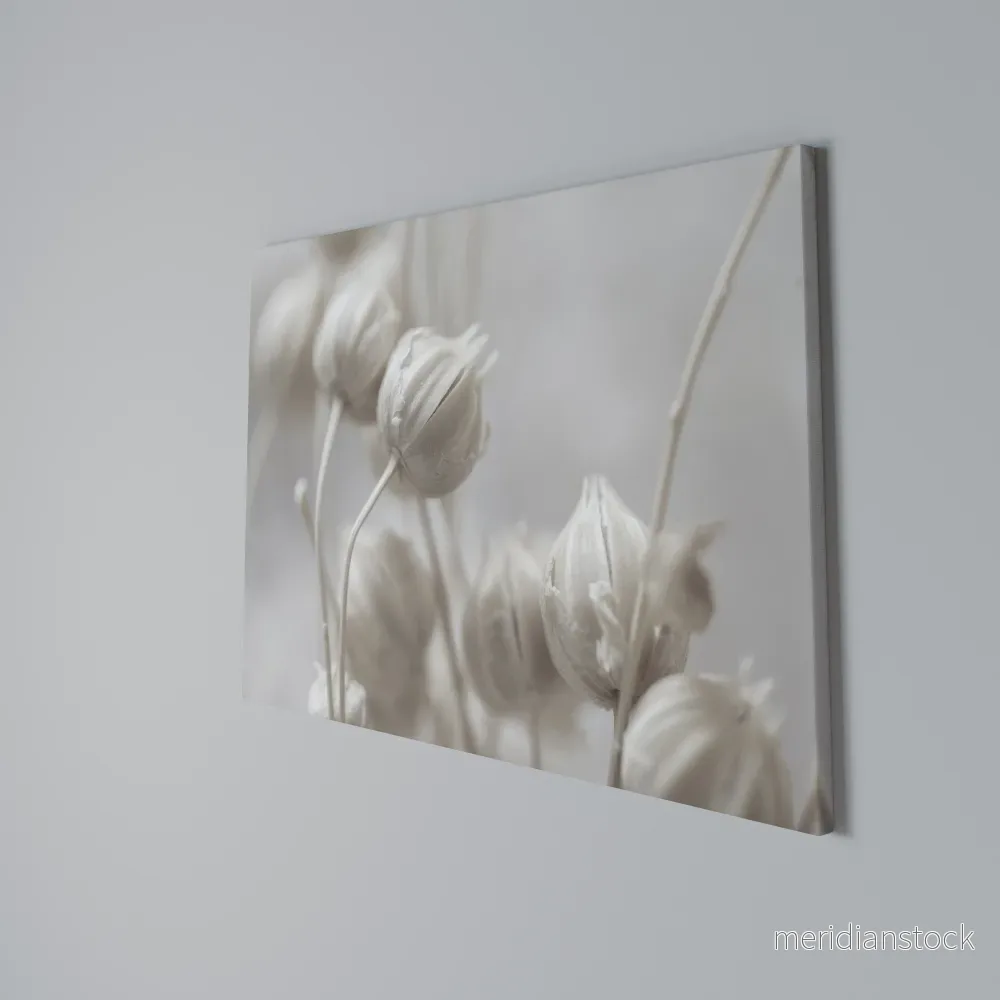 MYSTICAL BOTANICAL BLUSH Horizontal Canvas Print - Bild 3