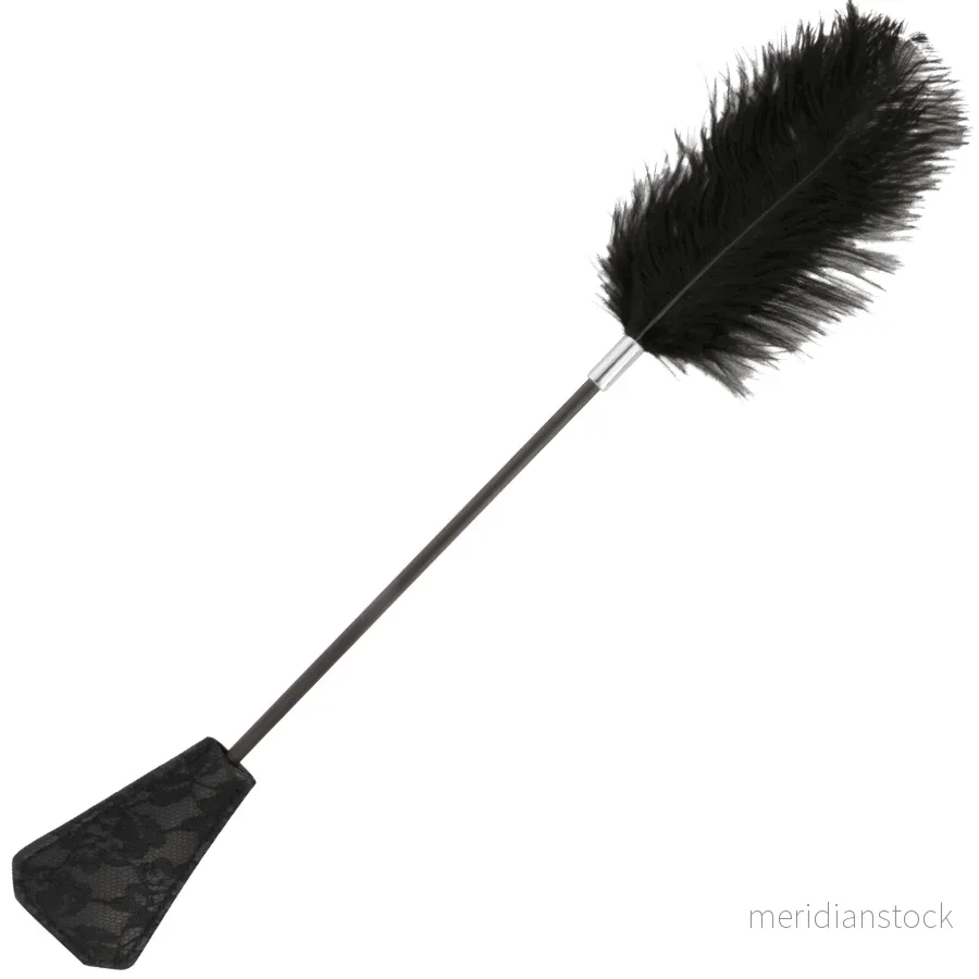 DARKNESS - BLACK LOVE FEATHER WHIP 56 CM