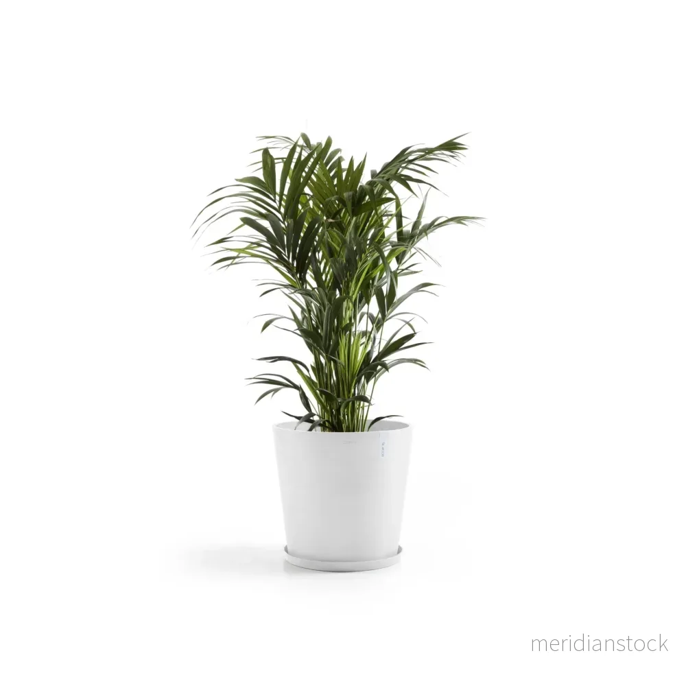 Kruka Amsterdam 60cm vit - Bild 3