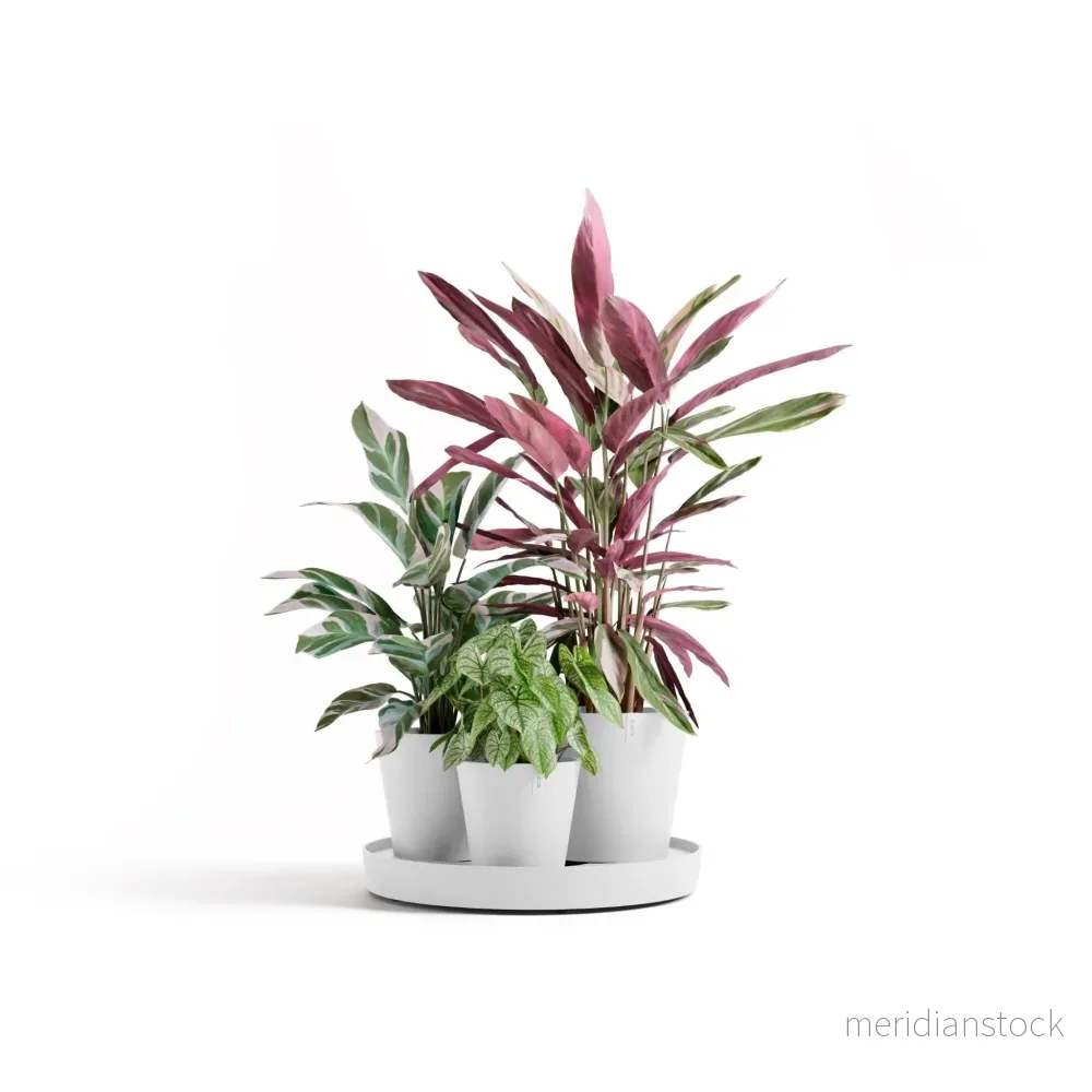Kruka Dubai 56cm vit Kruka Dubai 56cm vit