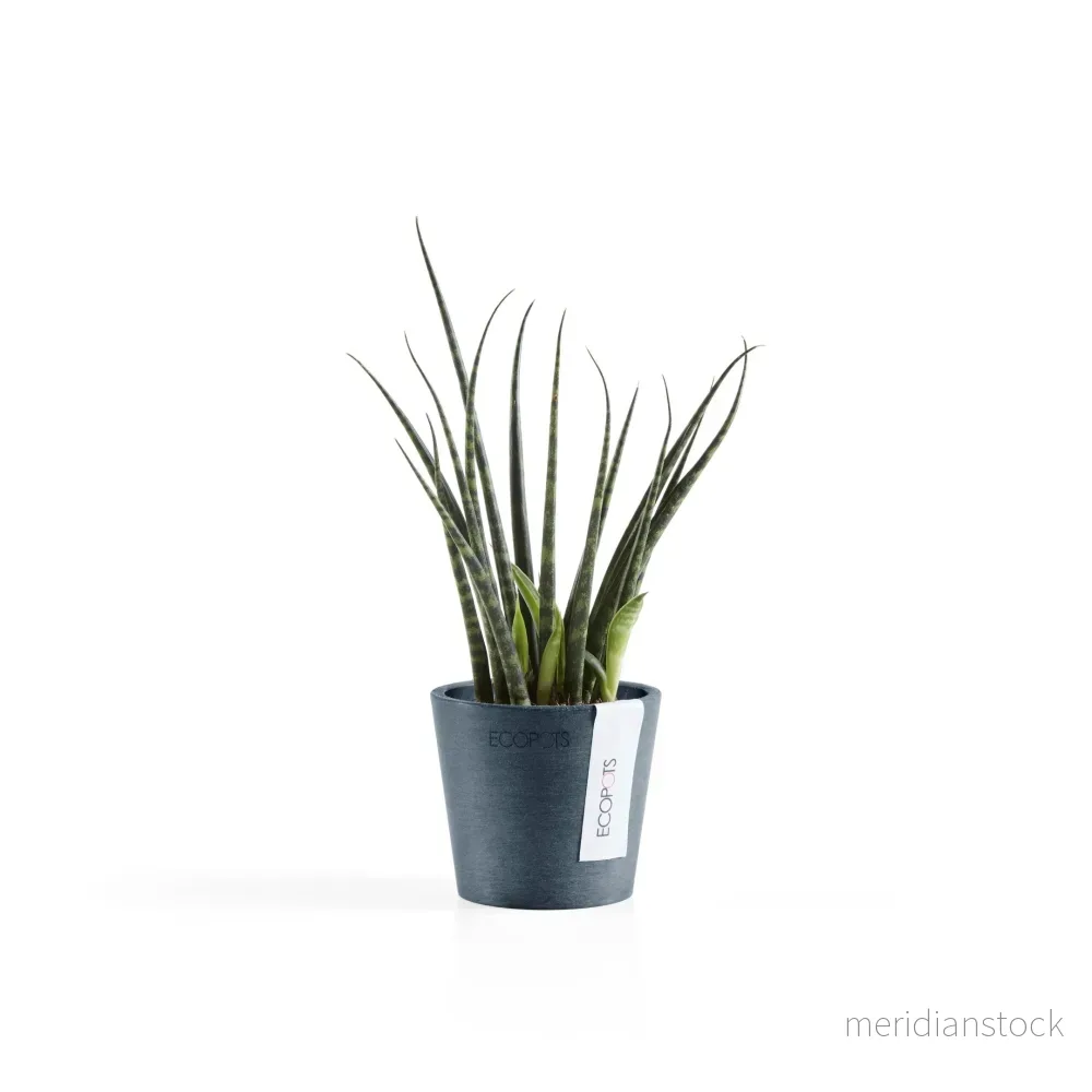 Kruka Amsterdam 8cm mörkblå