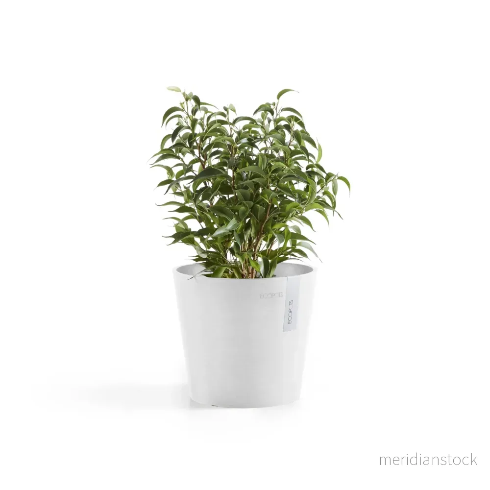 Kruka Amsterdam 17 cm vit Kruka Amsterdam 17 cm vit