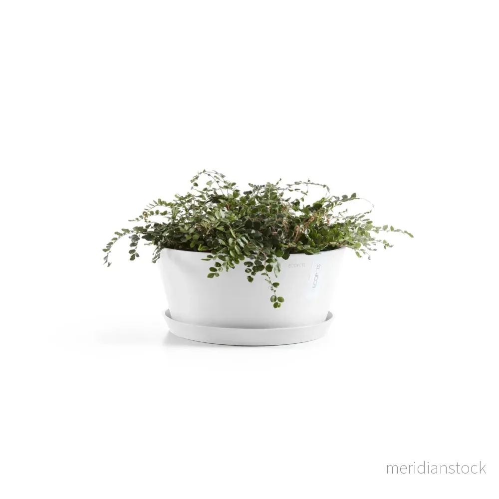 Blomkruka Frankfurt 30cm vit - Bild 3