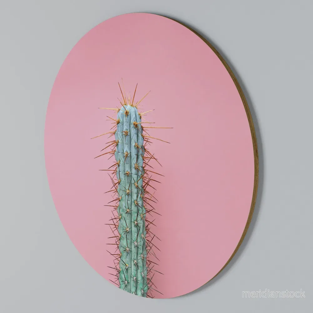 MISTER CACTUS Rund väggdekor