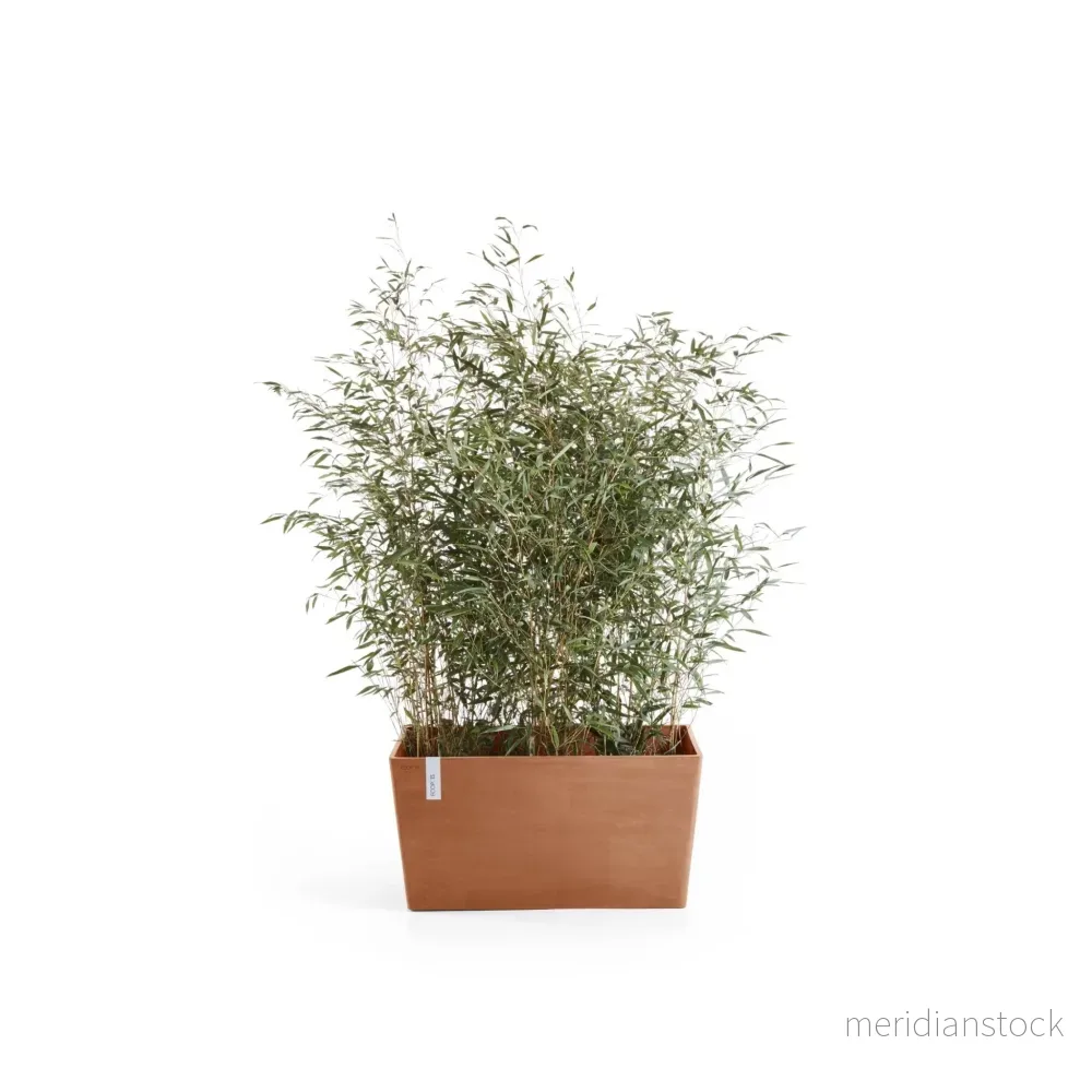 Kruka Paris 80cm terrakotta