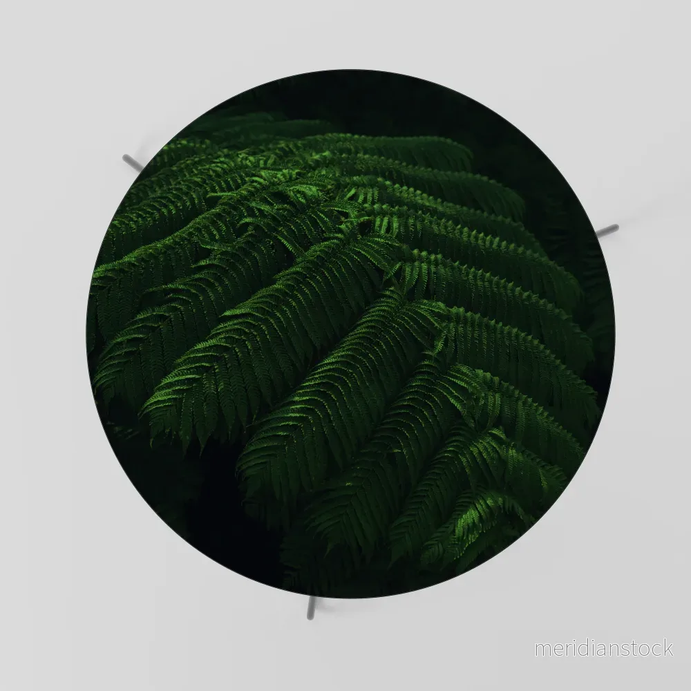 FERN FANTASY Soffbord - Bild 2