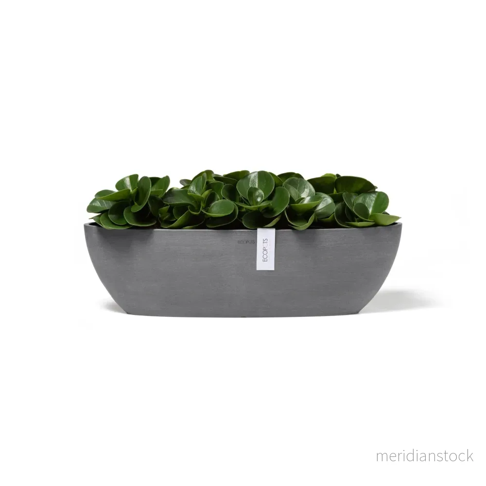 Kruka Sofia lång 56cm grå Kruka Sofia lång 56cm grå