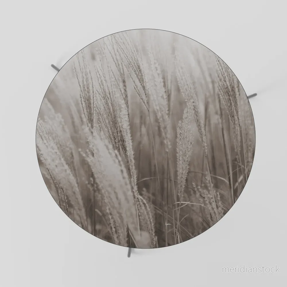 WHISPERS OF GRASS Soffbord - Bild 2
