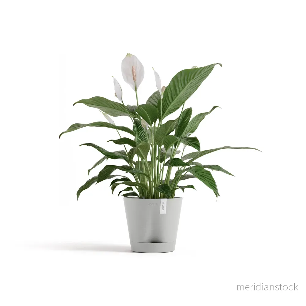 Kruka Venedig 2.0 20cm vitgrå