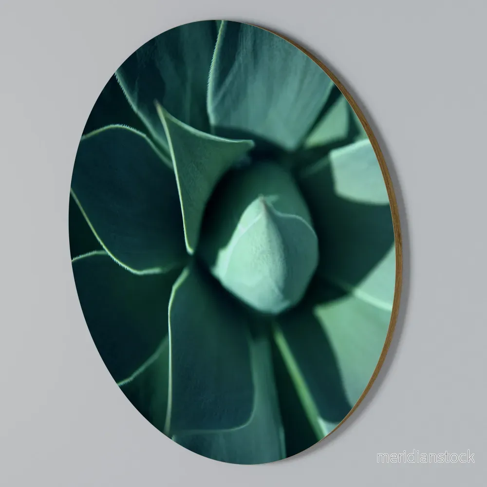 MYSTICAL GREEN WHORL Rund väggdekor