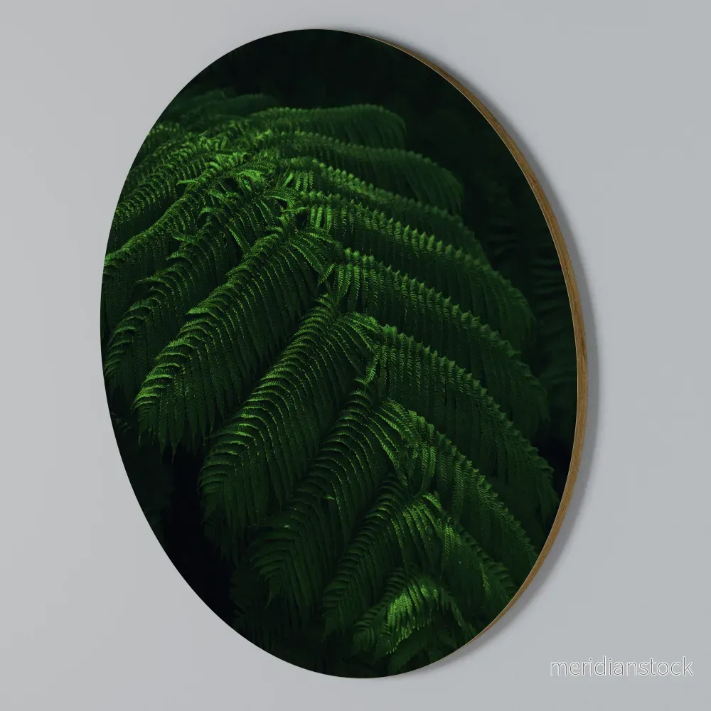 FERN FANTASY Rund väggdekor FERN FANTASY Rund väggdekor