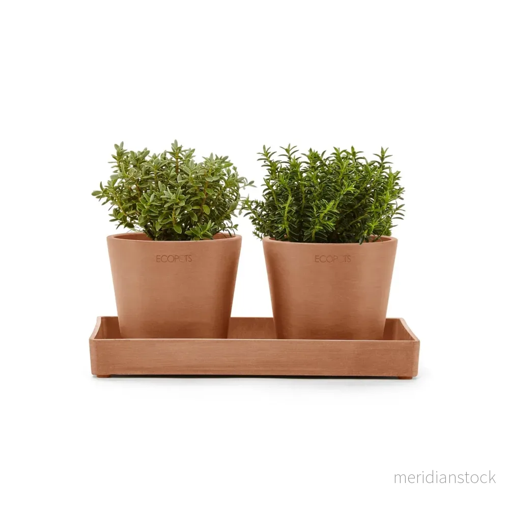 Kruka presentationsbricka 25cm terrakotta Kruka presentationsbricka 25cm terrakotta