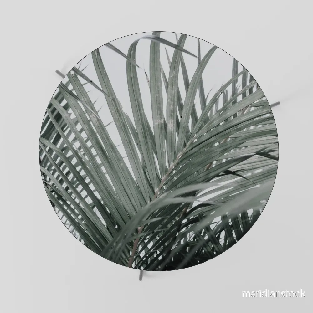 PALM WHISPERS Soffbord - Bild 2