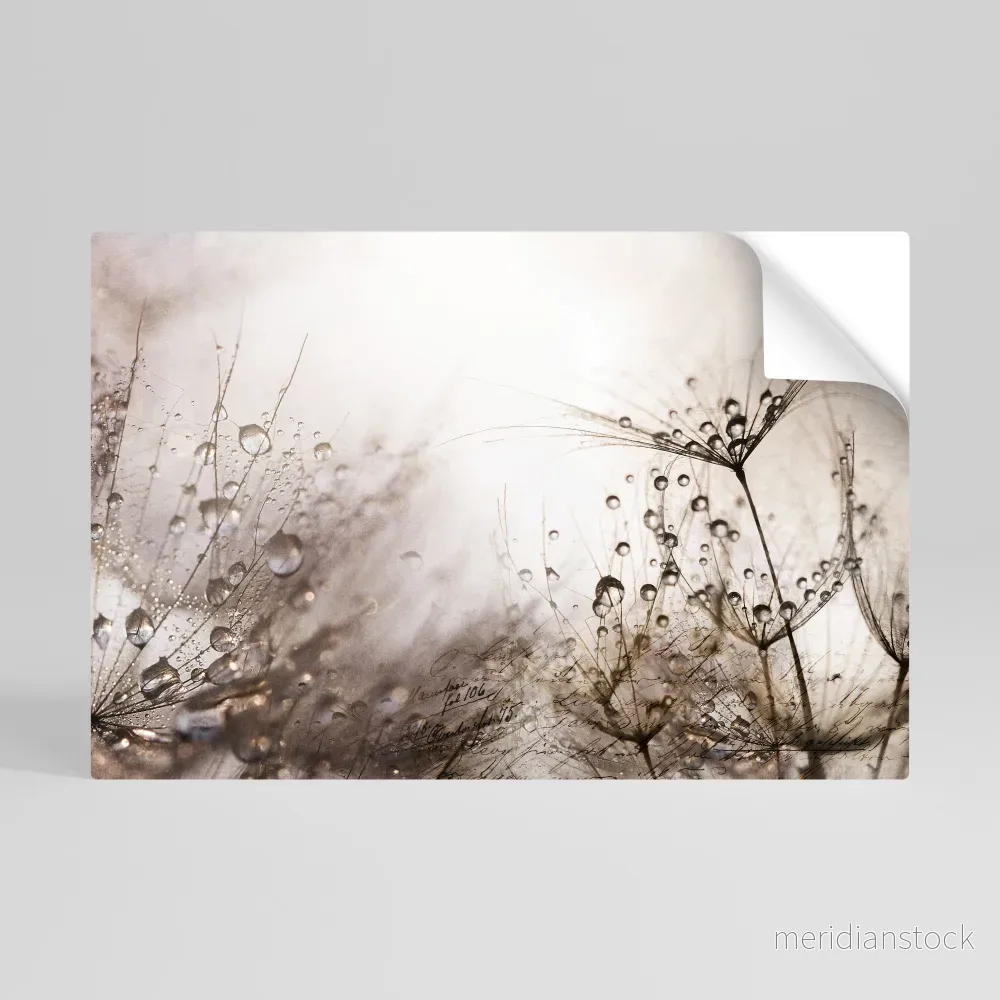 FLEETING DAWN Självhäftande Horisontell Poster - Bild 3