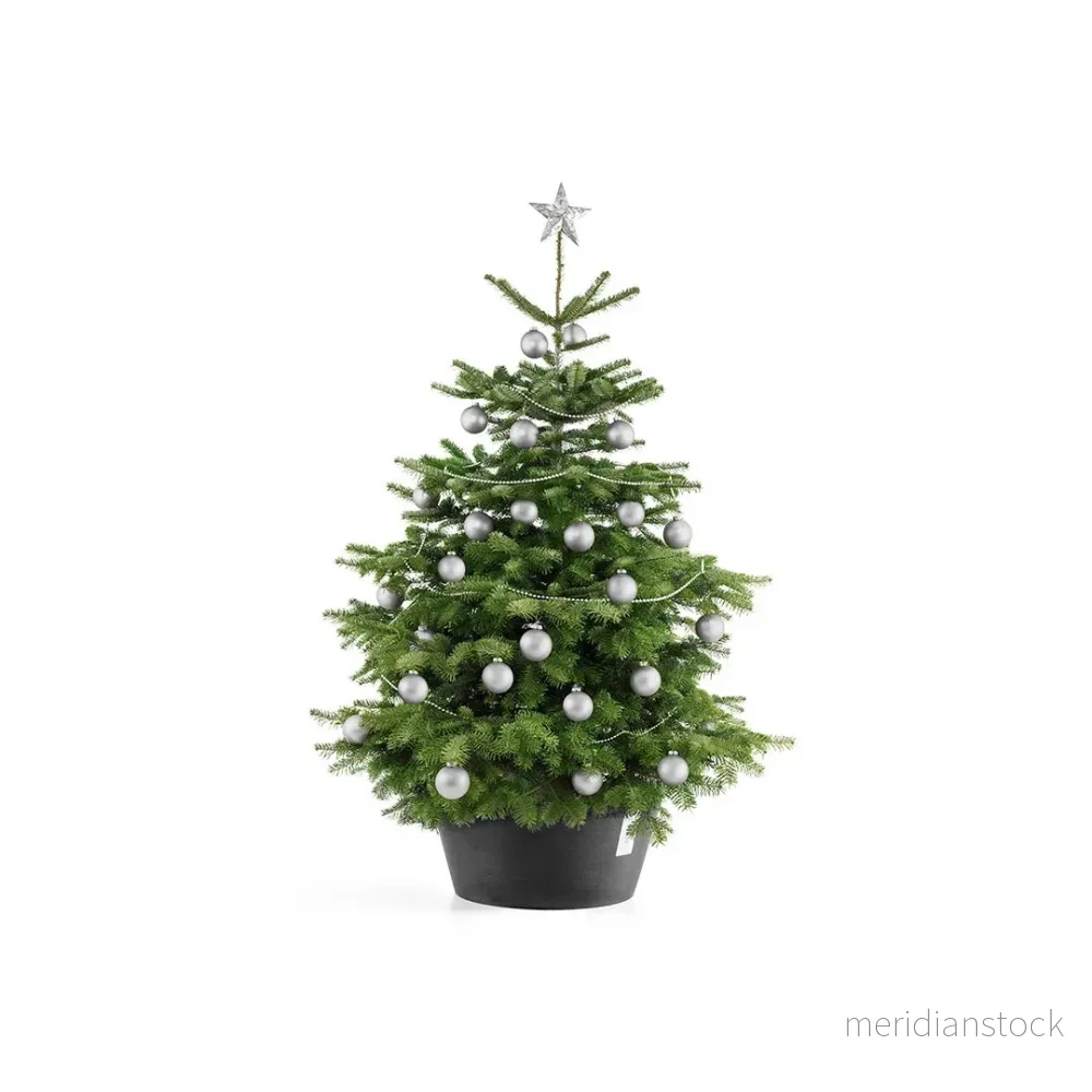 Julgransställ XL mörkgrå