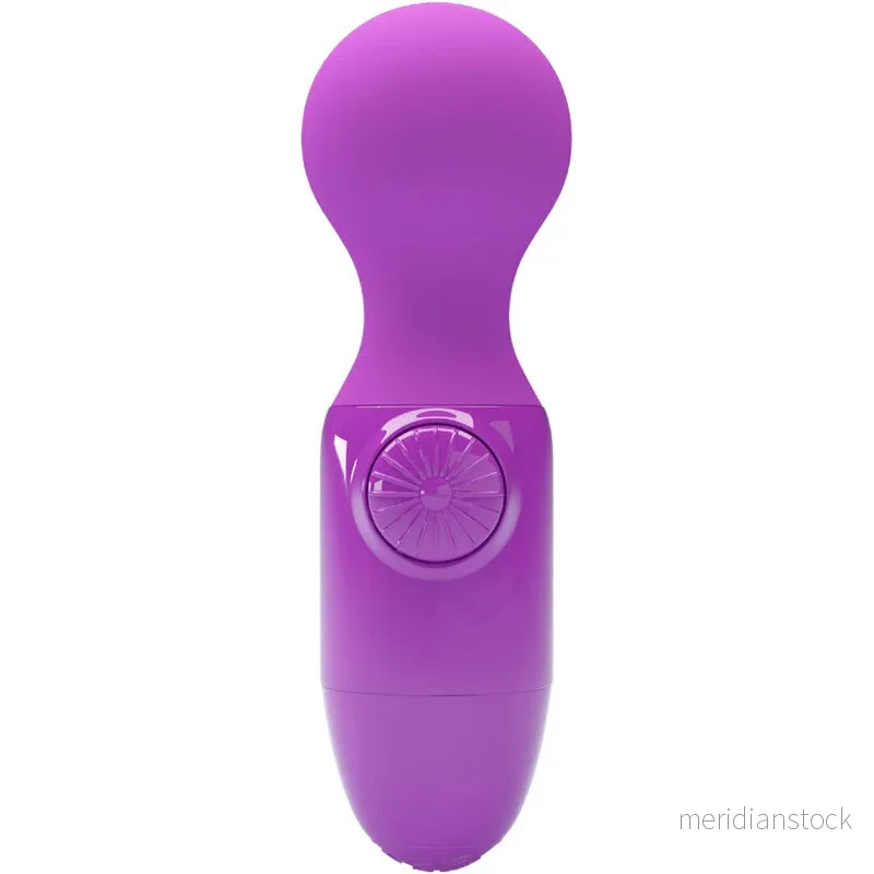 PRETTY LOVE - PURPLE MINI PERSONAL MASSAGER