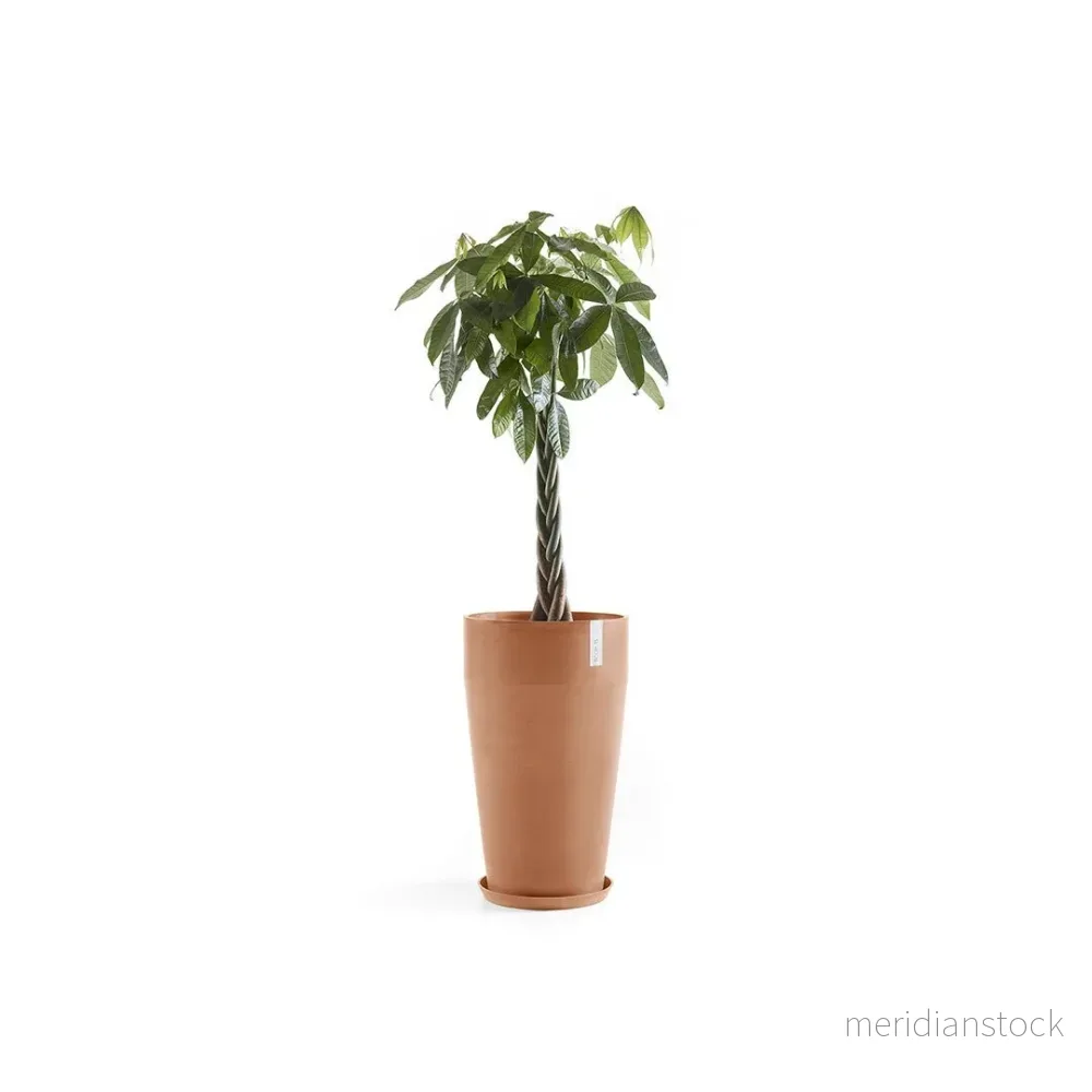 Kruka Sankara hög 75cm terrakotta - Bild 3