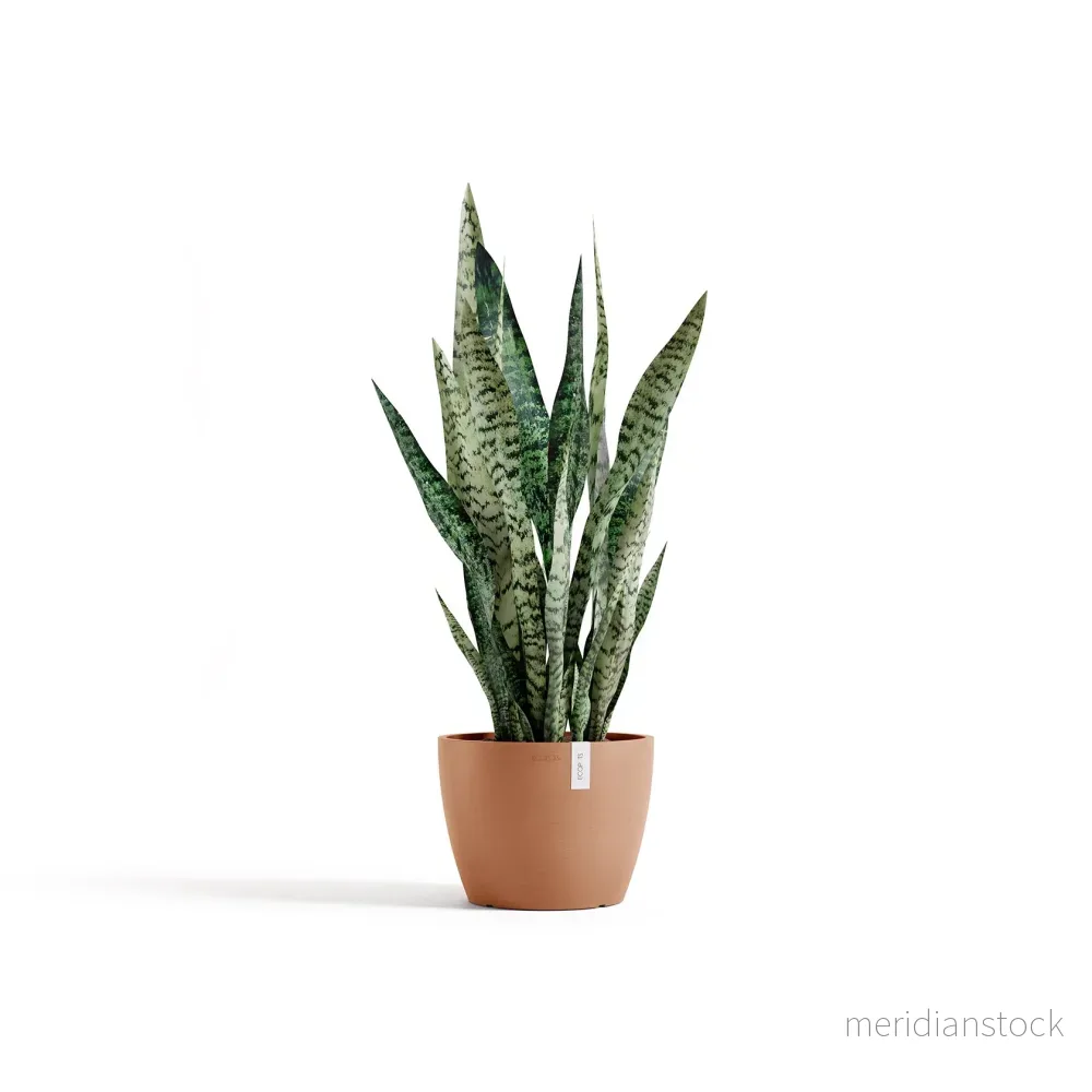 Kruka Stockholm 24cm terrakotta Kruka Stockholm 24cm terrakotta