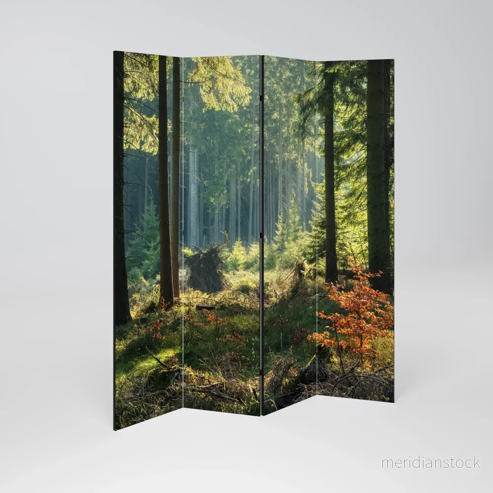 SUNLIT FOREST SERENADE Rumsavdelare 4 paneler - Bild 2