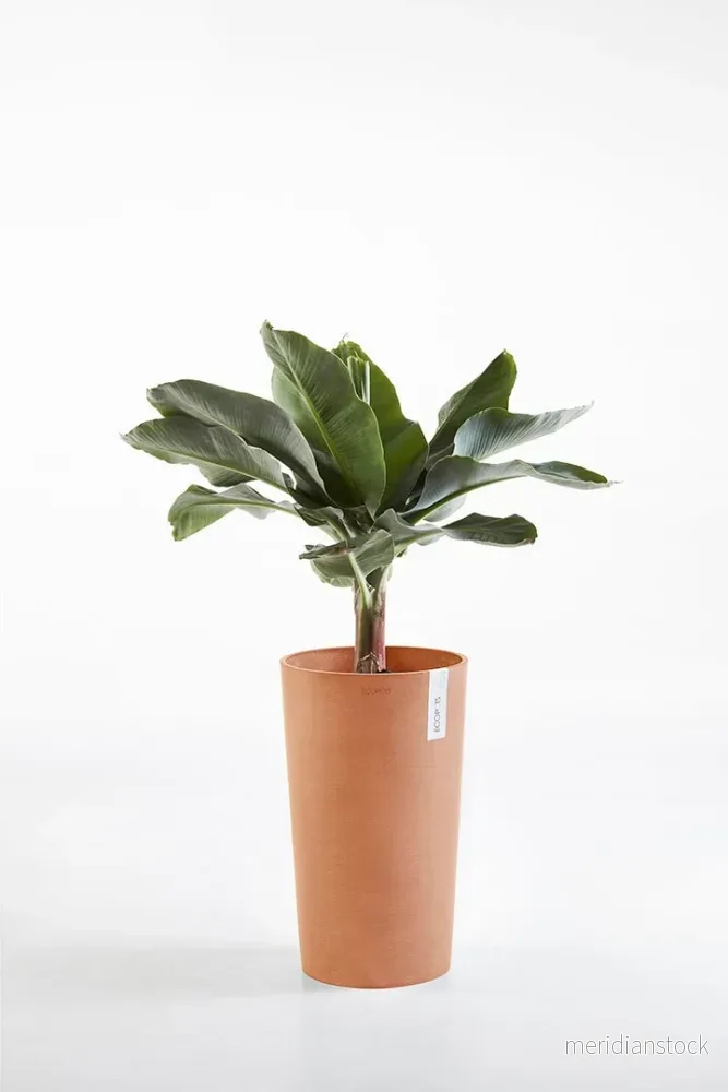 Kruka Amsterdam medelhög 66cm terrakotta - Bild 3