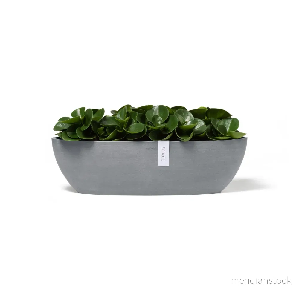 Kruka Sofia lång 56cm blågrå