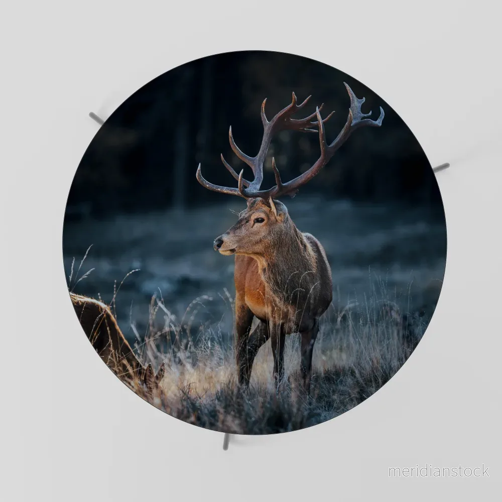 ANTLERED REGALITY Soffbord - Bild 2