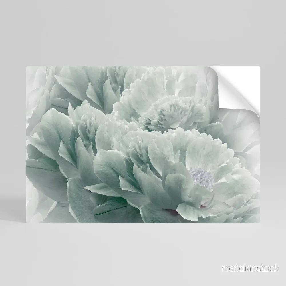 TREE PEONIES Självhäftande Horisontell Poster TREE PEONIES Självhäftande Horisontell Poster