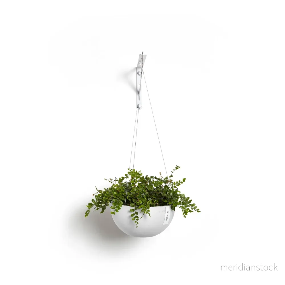 Kruka Bryssel hängbar 33cm vit - Bild 3