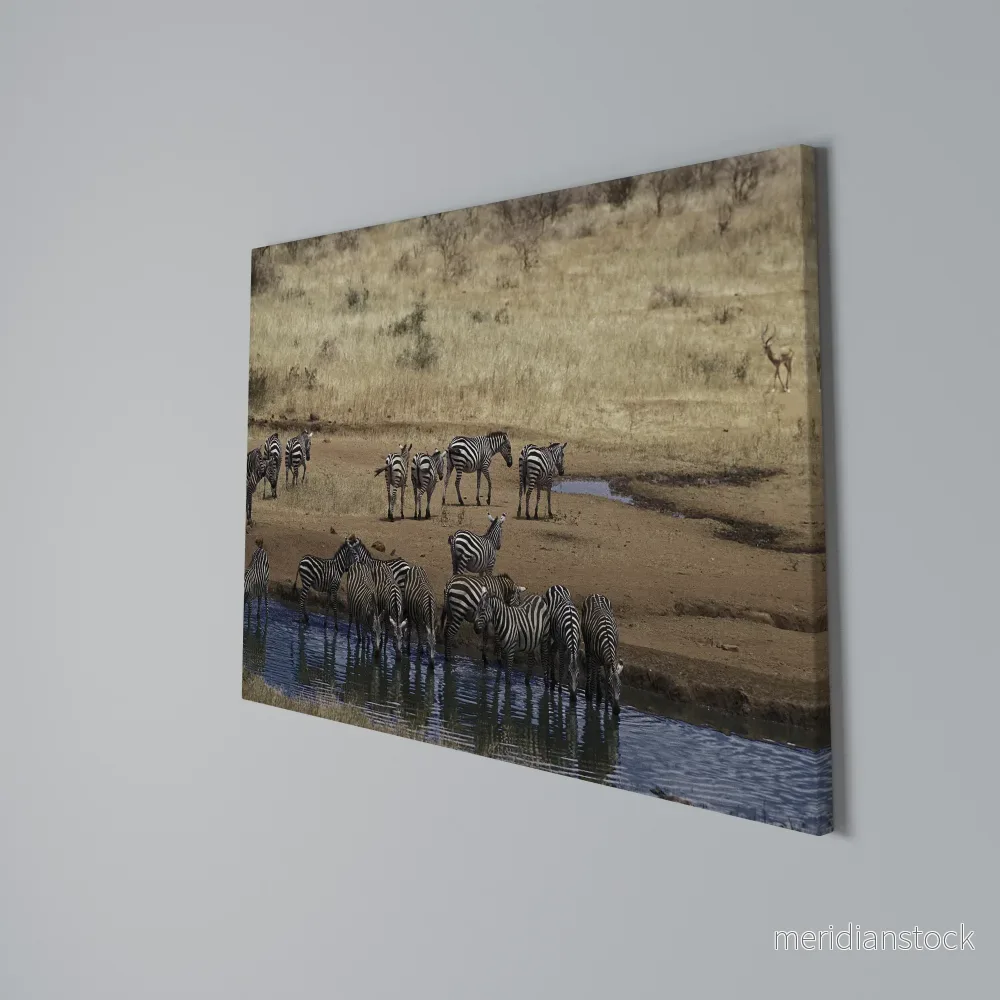 THE ZEBRA HARMONY Horizontal Canvas Print - Bild 3