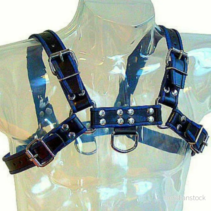 LEATHER BODY - BLUE AND BLACK LEATHER HARNESS CHEST BULLDOG - Bild 3