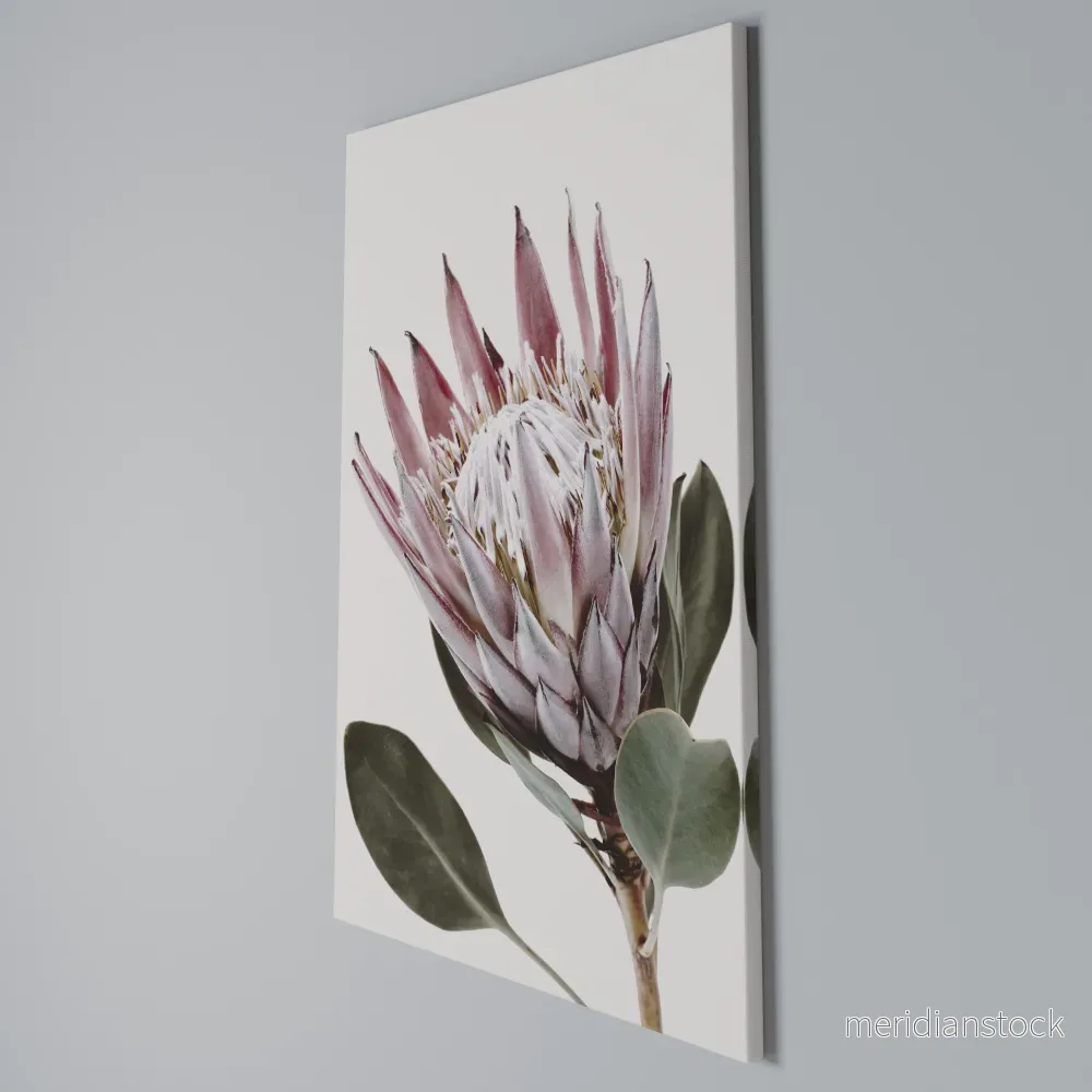 PROTEA FLOWER Vertical Canvas Print - Bild 3