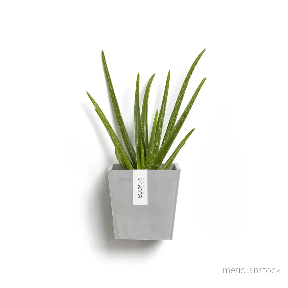 Kruka Manhattan vägg 15cm vitgrå Kruka Manhattan vägg 15cm vitgrå