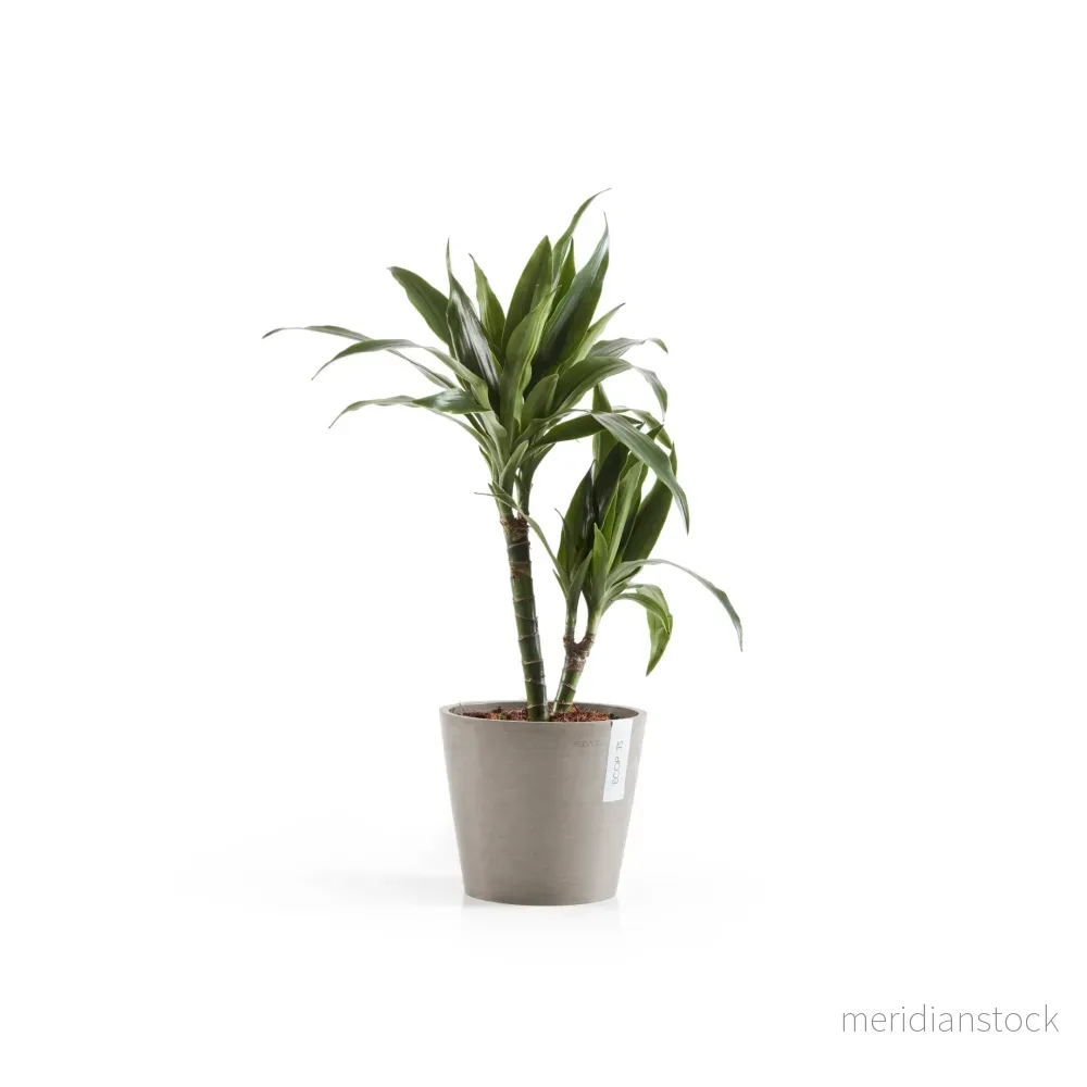 Kruka Amsterdam 20cm taupe Kruka Amsterdam 20cm taupe