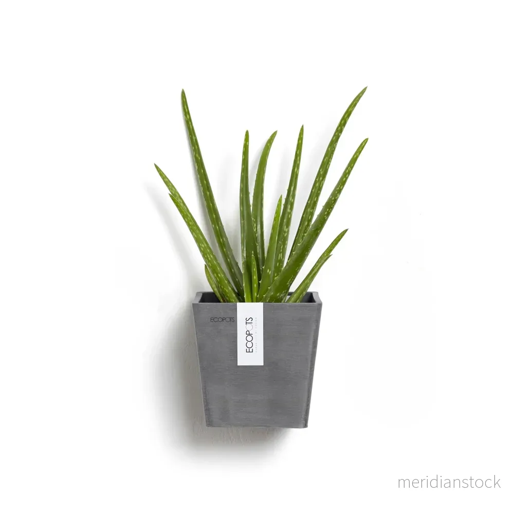 Kruka Manhattan vägg 15cm grå Kruka Manhattan vägg 15cm grå