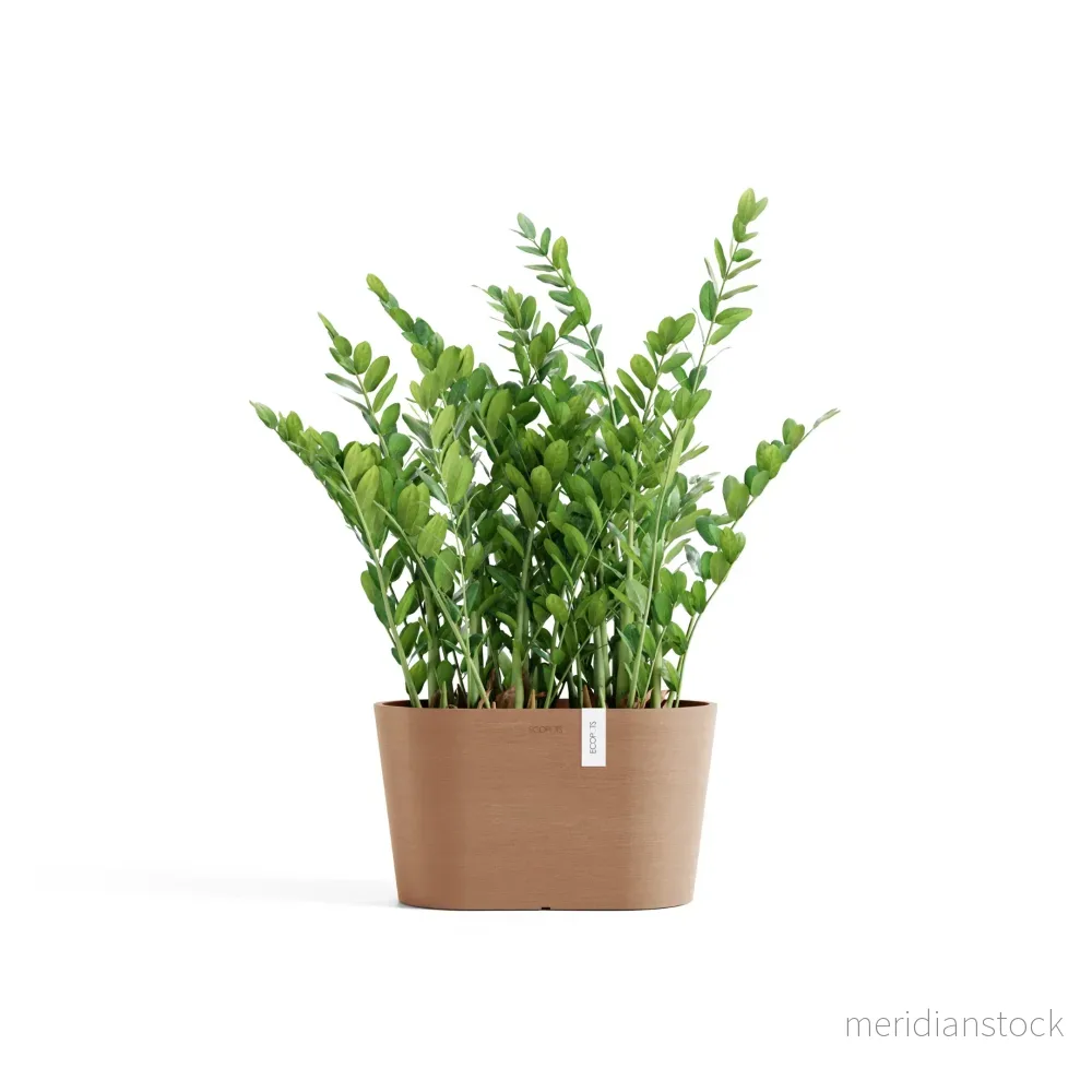 Kruka Tokyo 30cm terrakotta Kruka Tokyo 30cm terrakotta