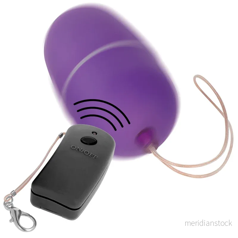 ONLINE - REMOTE CONTROLLED VIBRATING EGG PURPLE - Bild 2