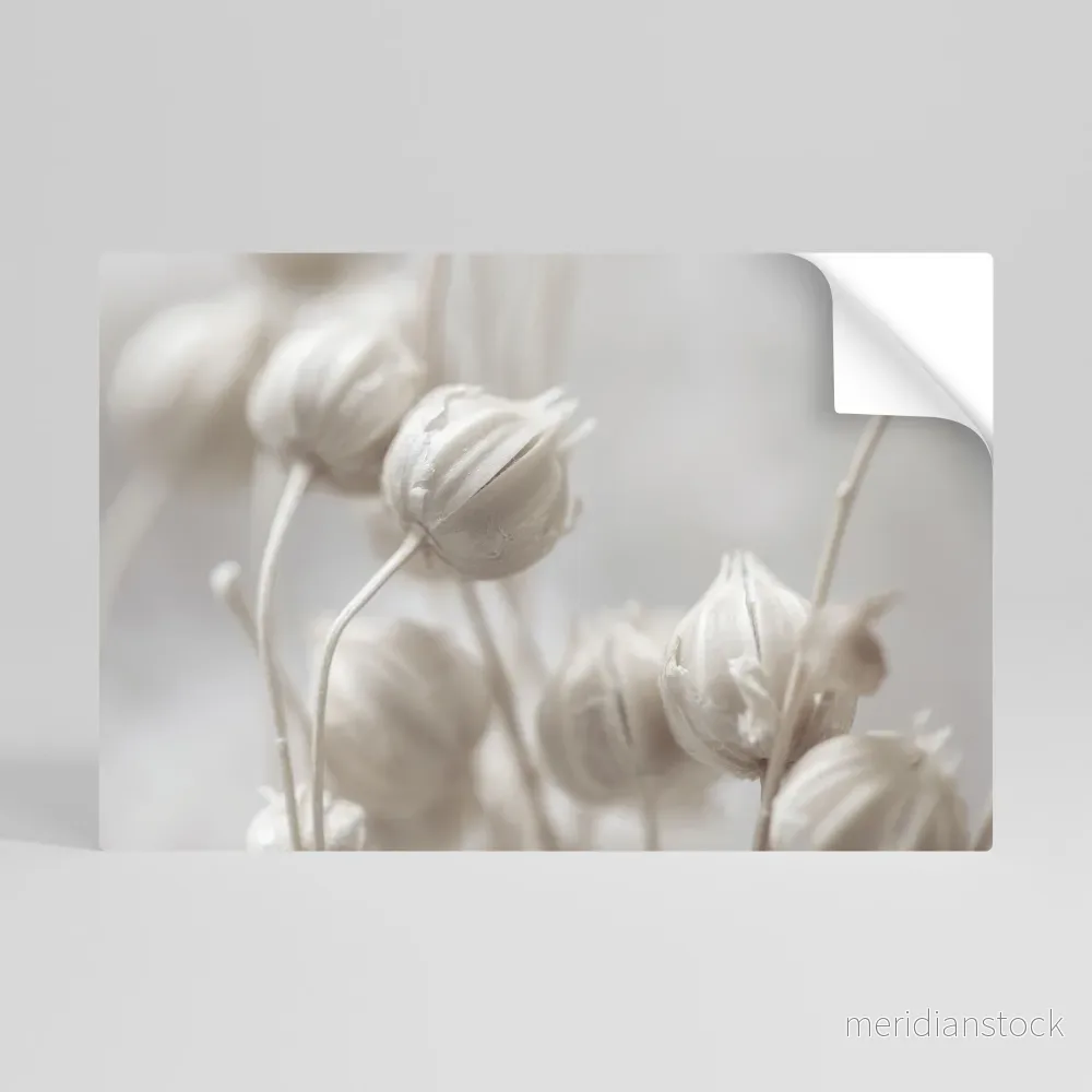 MYSTICAL BOTANICAL BLUSH Självhäftande Horisontell Poster - Bild 2