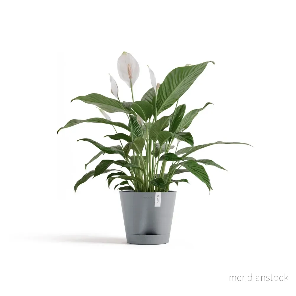 Kruka Venedig 2.0 20cm blågrå