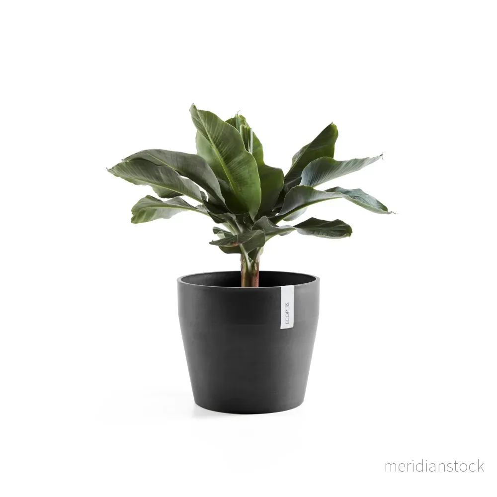 Kruka Sankara 40cm mörkgrå