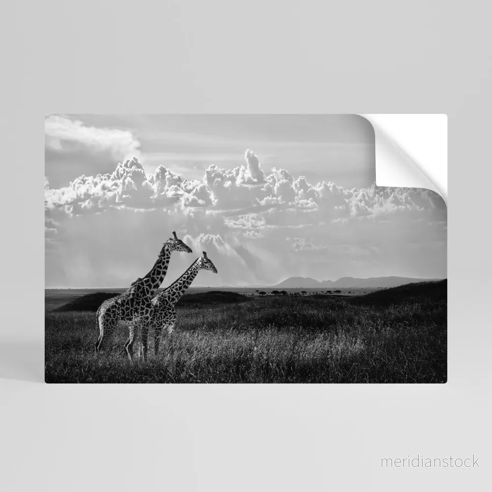 ELEGANT HEIGHTS UNVEILED Självhäftande Horisontell Poster ELEGANT HEIGHTS UNVEILED Självhäftande Horisontell Poster